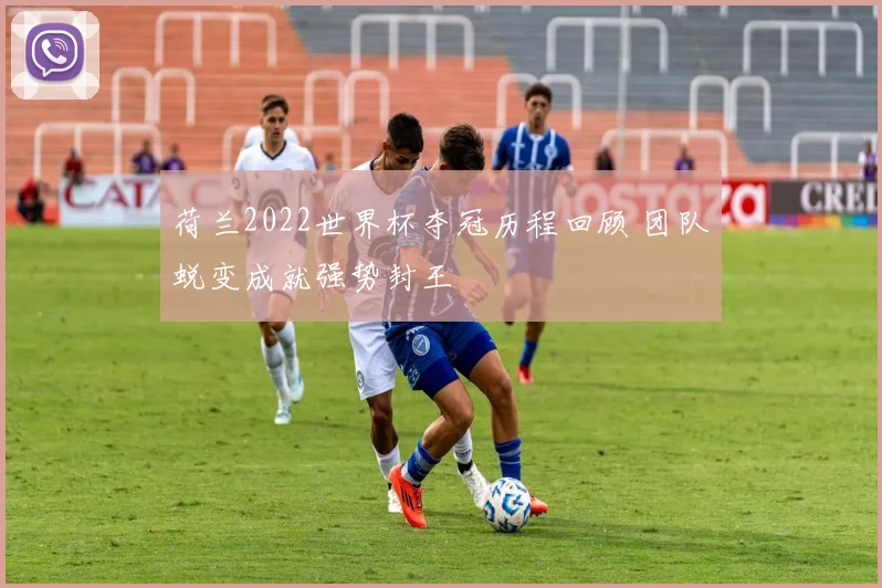 荷兰2022世界杯夺冠历程回顾 团队蜕变成就强势封王