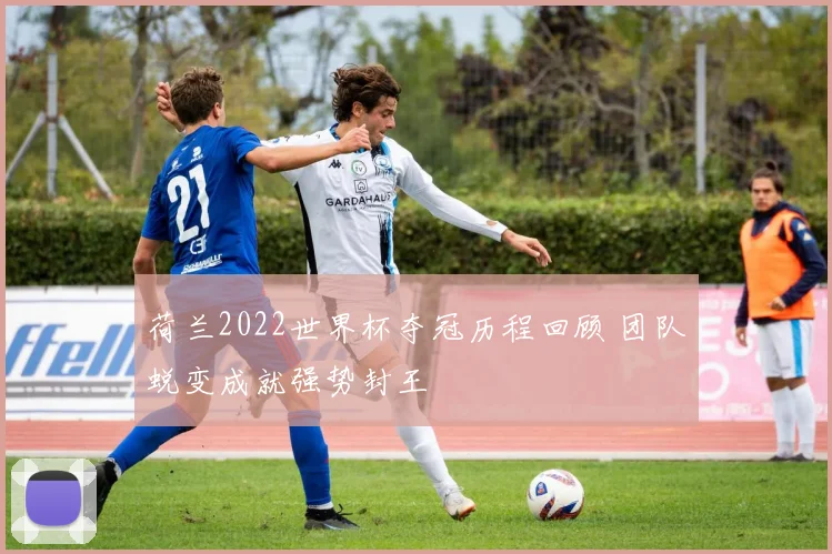 荷兰2022世界杯夺冠历程回顾 团队蜕变成就强势封王