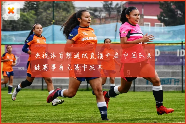 央视体育频道线直播开启 中国队关键赛事看点集中发布