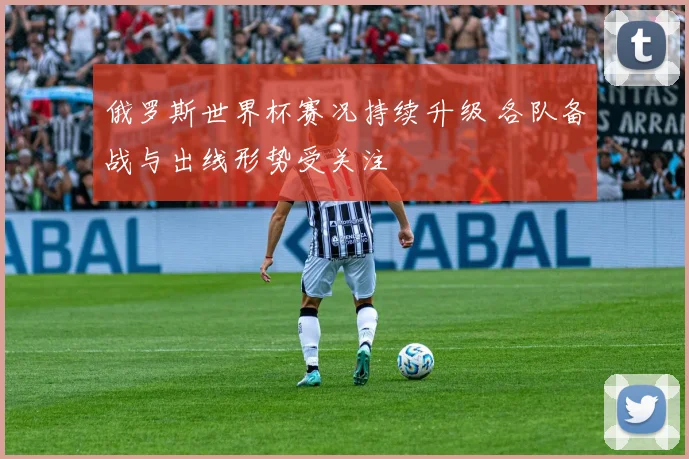 俄罗斯世界杯赛况持续升级 各队备战与出线形势受关注