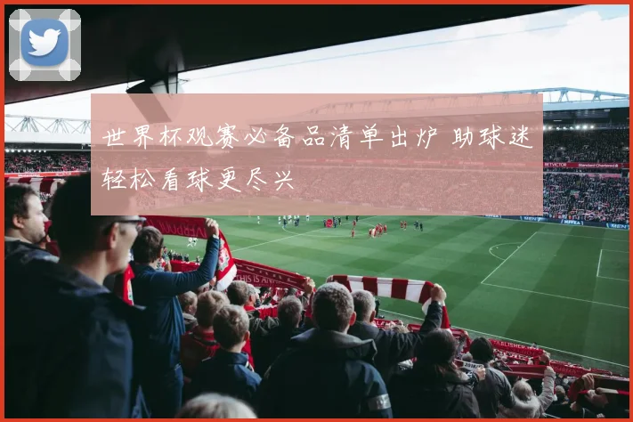 世界杯观赛必备品清单出炉 助球迷轻松看球更尽兴