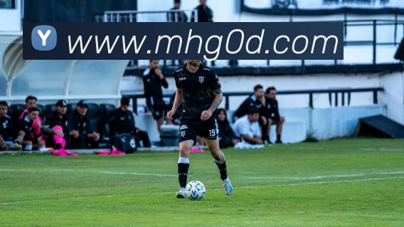 开云手机入口登录官网服务体系