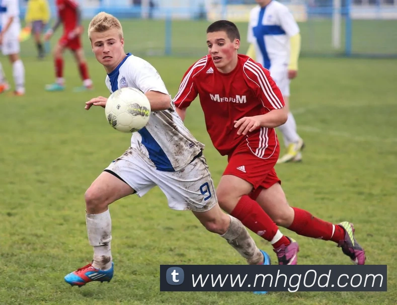 开云手机入口登录官网APP 体育赛事宣传图